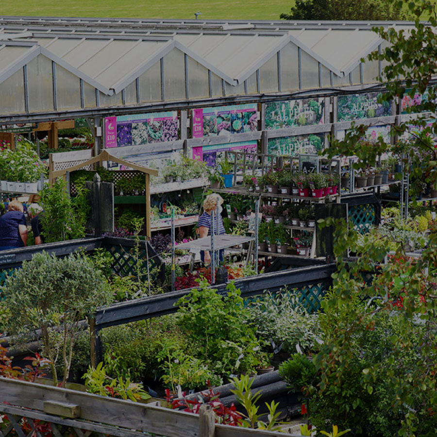 Elevated view of the selection of plants avaialble at the garden centre