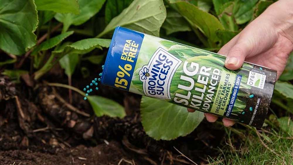 Growing Success slug pellets being used on a garden