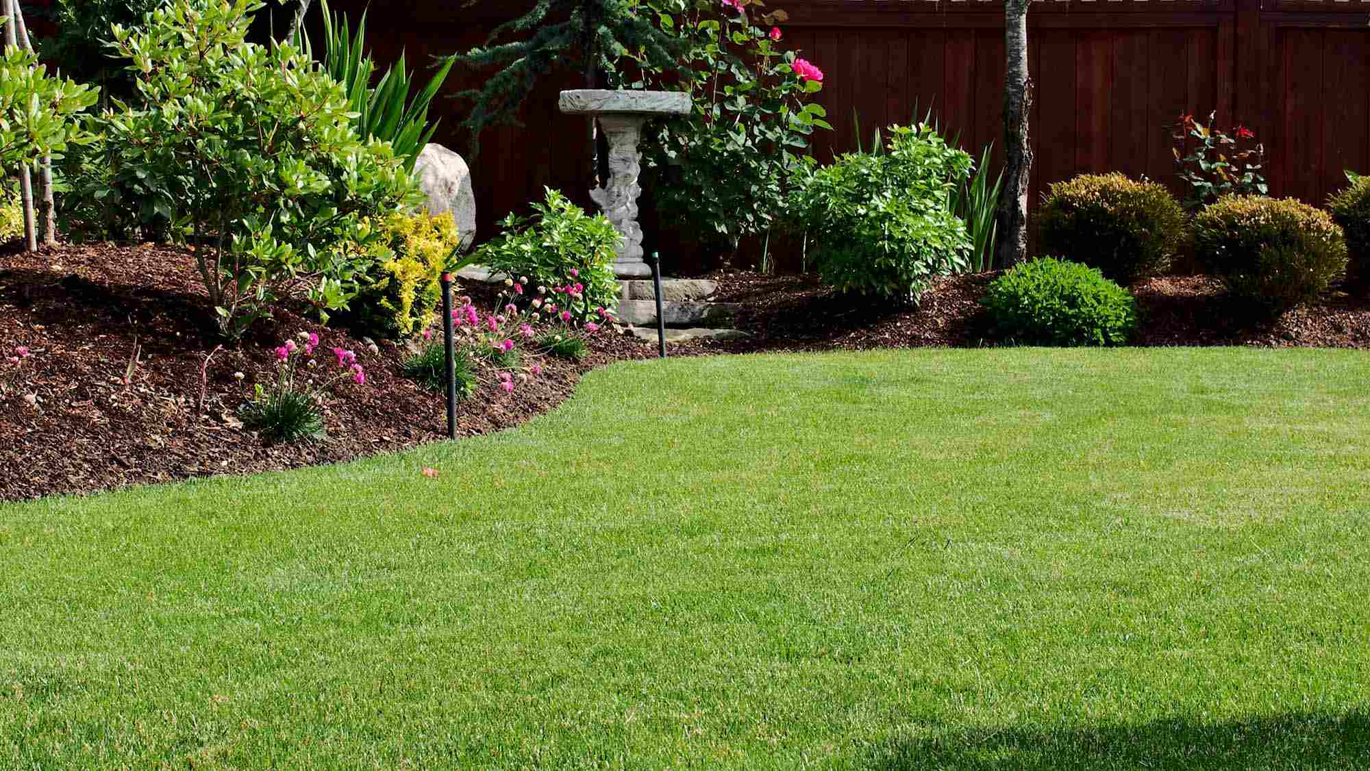 Neatly maintained garden lawn with flower borders and shrubs