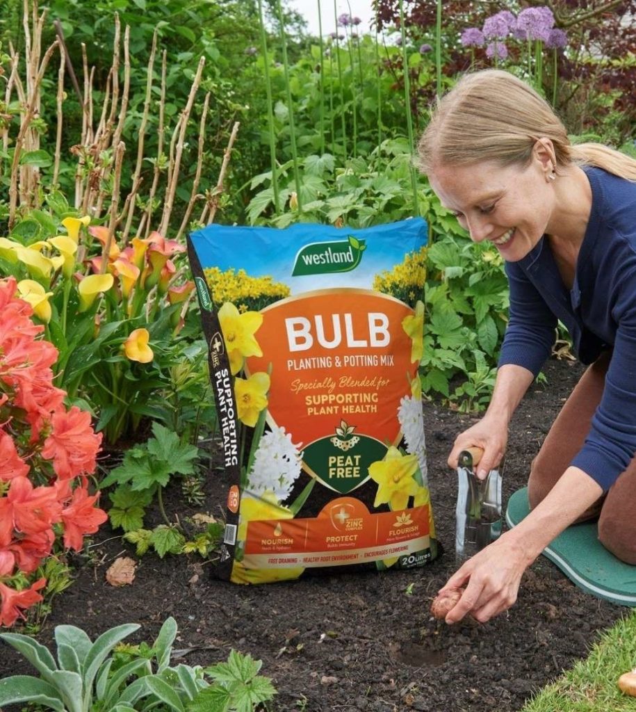 Gardener planting bulbs with Westland Bulb Planting & Potting Mix 20L bag in flower bed