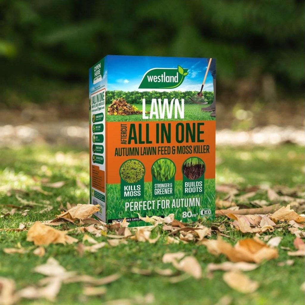 Westland Lawn All In One 80m² autumn lawn feed and moss killer box on grass with autumn leaves