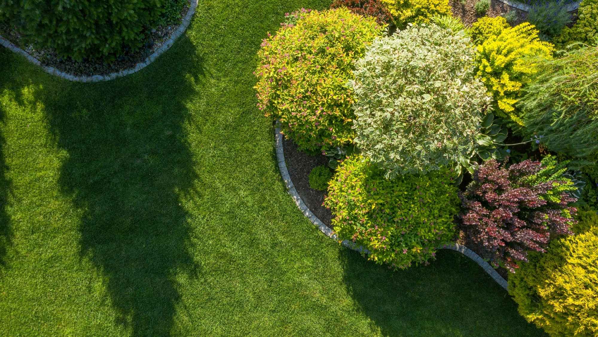 Lush green lawn with curved flower bed border and colourful shrubs in a well-kept garden